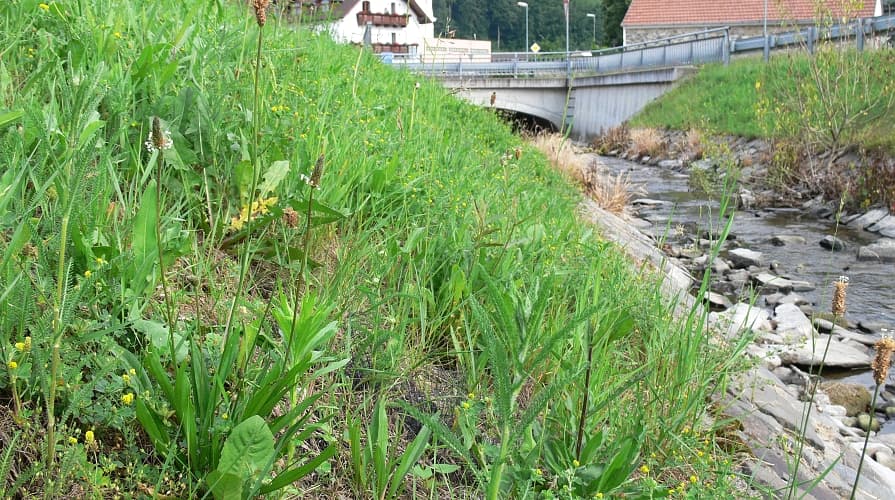 Kókuszháló a folyóparton