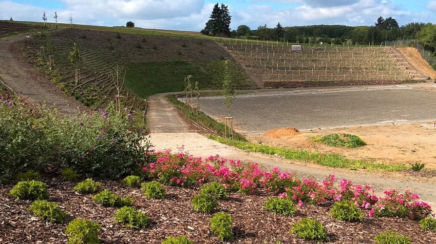 Egykori homokbánya rézsűinek rekultivációja