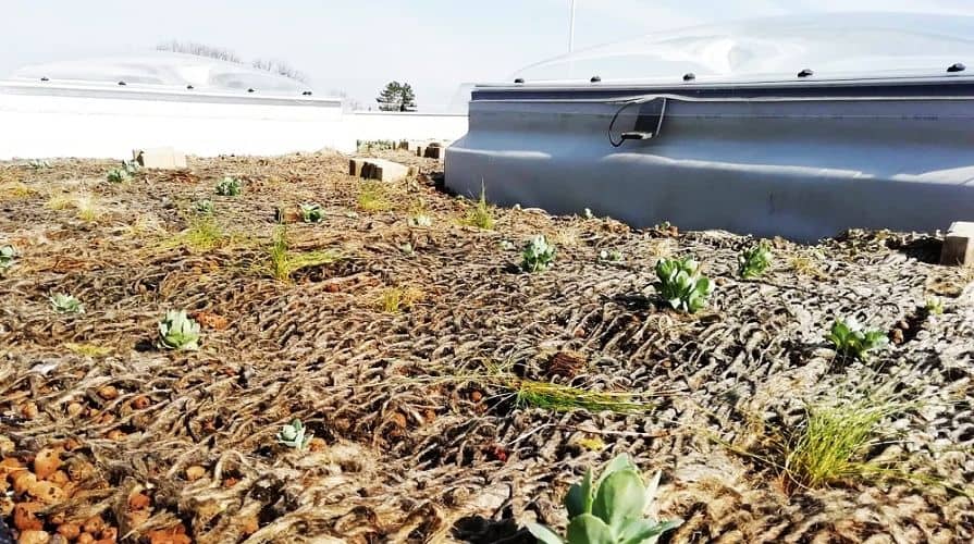 Geomatracok zöldtetőkön