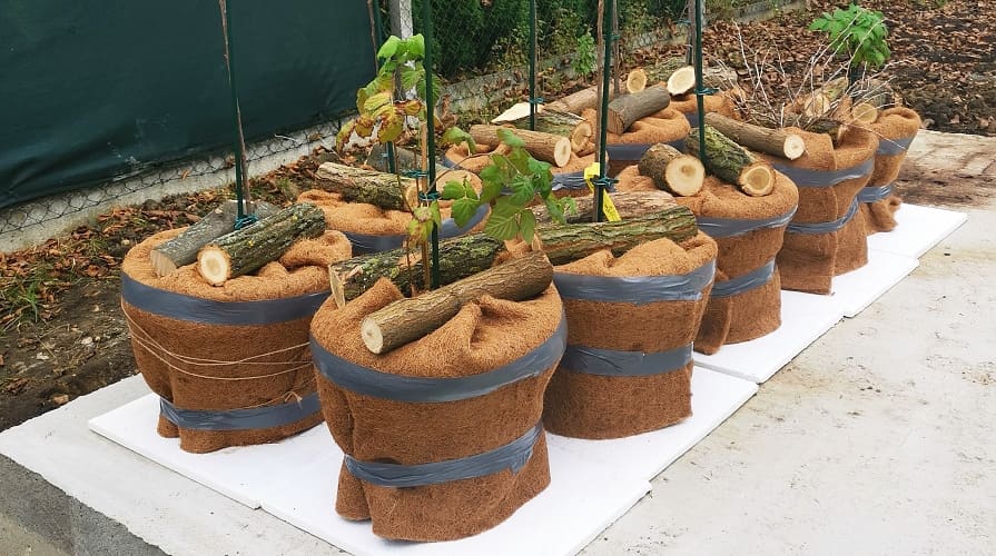 Kókuszszőnyeg fagy ellen