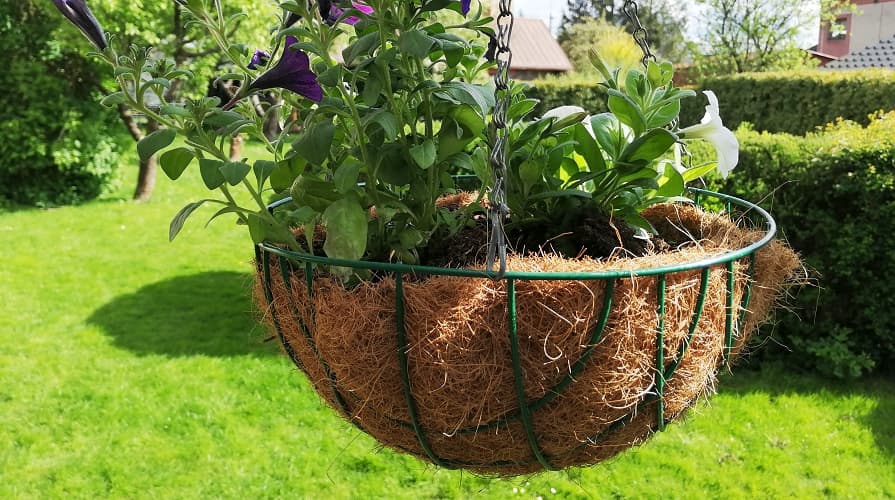 Kókuszszőnyeg mint „virágcserép”