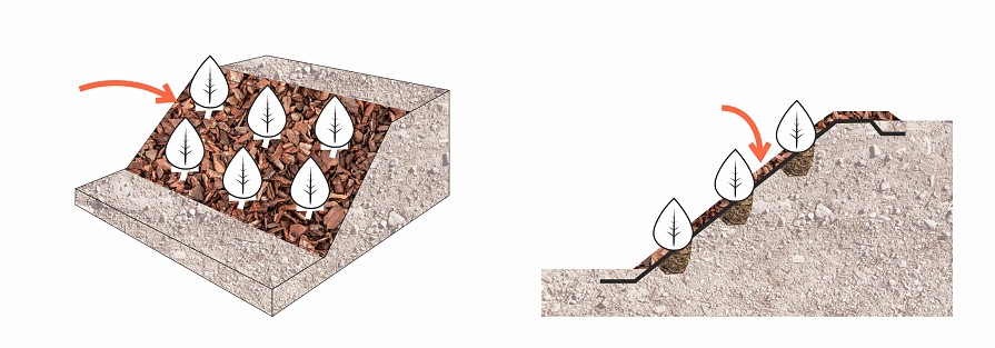 Mulcsréteg kókuszszőnyegen